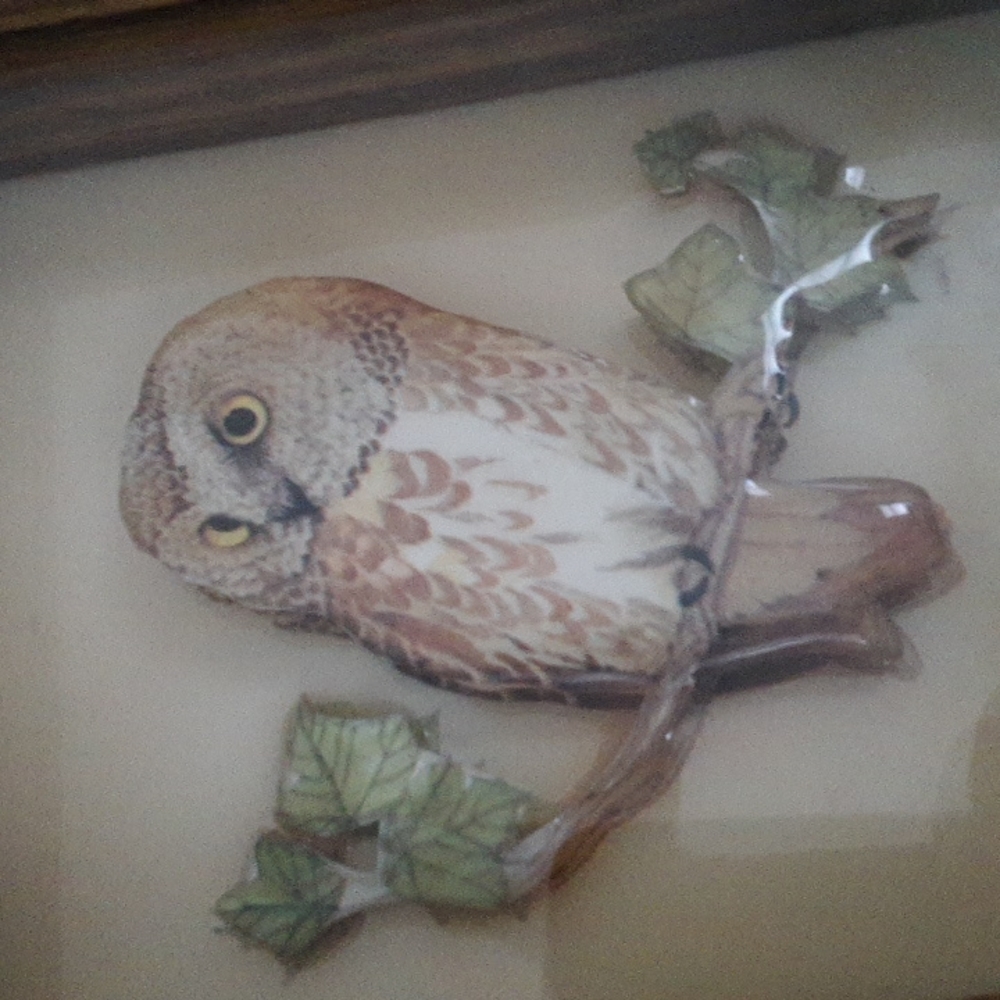 3D Owl Picture in Frame - Picture 3 of 3